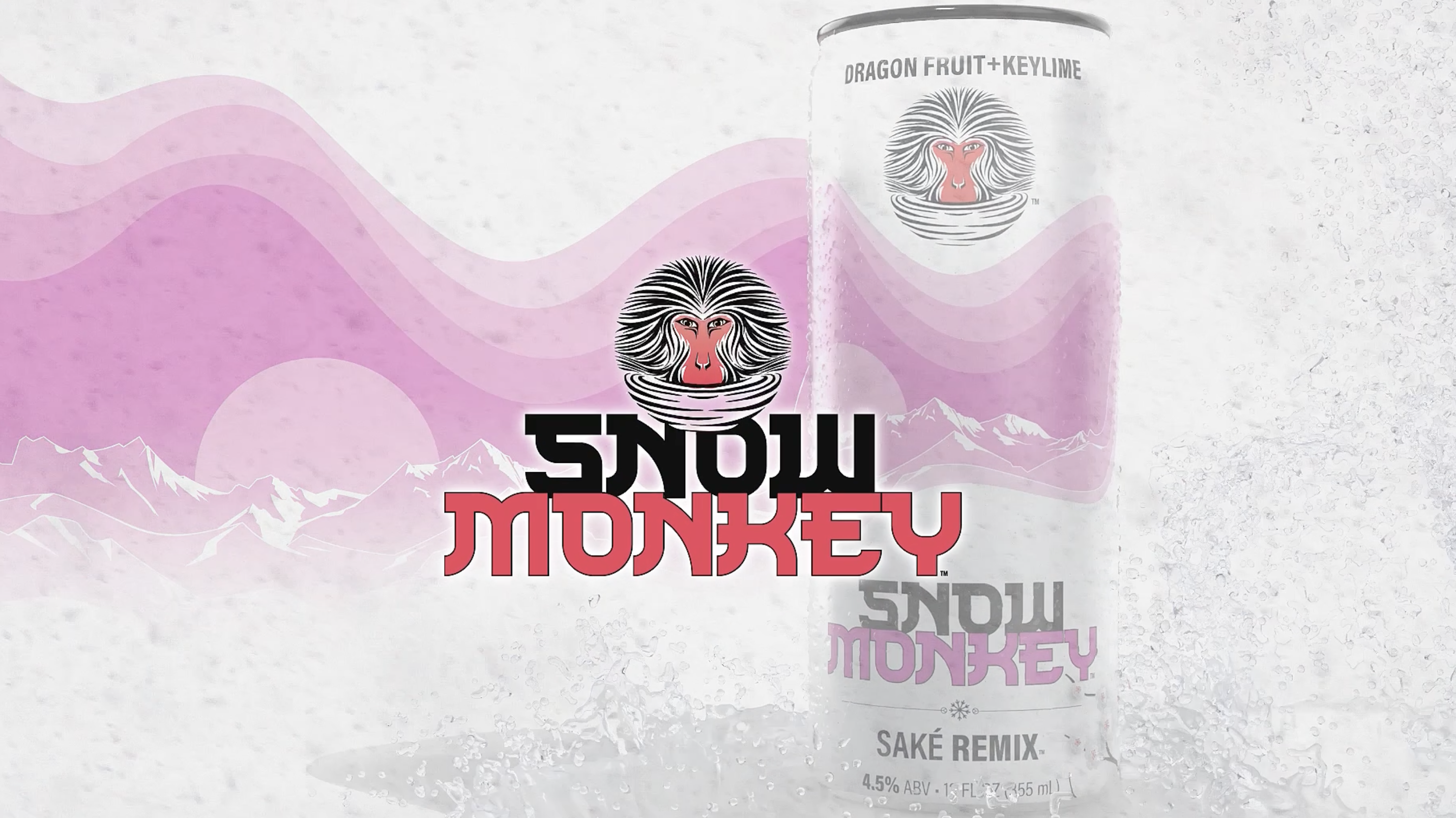 Snow Monkey